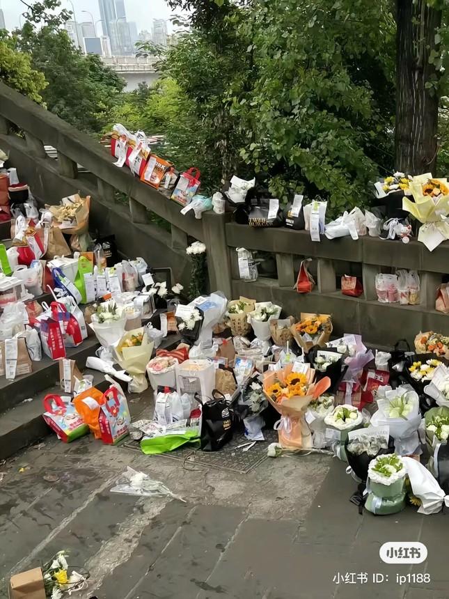 Từ vụ Mèo Béo nhảy cầu và thương hiệu mỹ phẩm: Sự thật bị bóp méo do hội chứng đám đông hóng drama-4