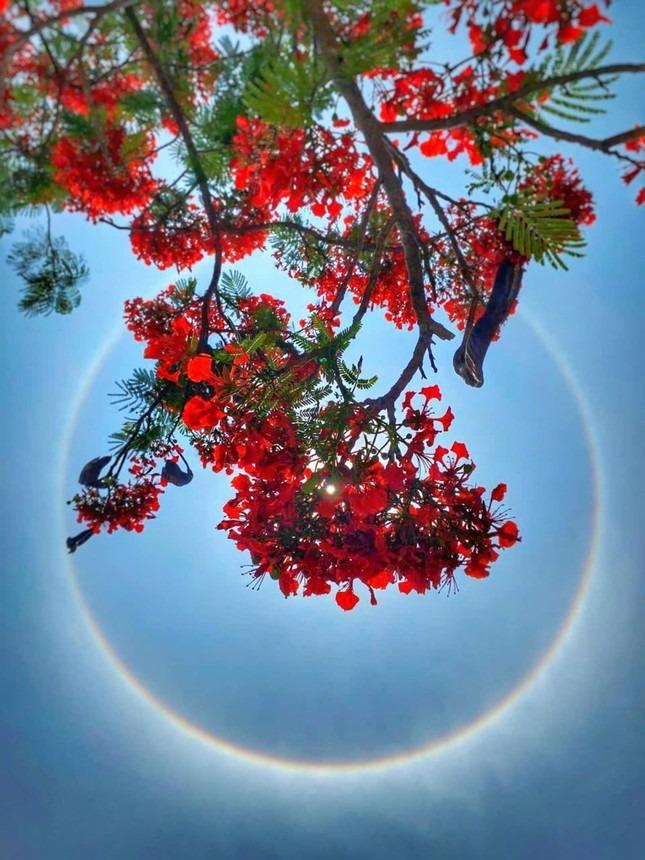 Hình ảnh lạ xuất hiện trên bầu trời nhiều tỉnh thành-2