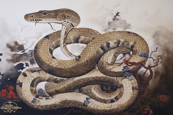 Giờ tốt, màu sắc cát tường và con số may mắn hôm nay 22/5/2024 của 12 con giáp: Tý màu đen, Sửu màu vàng-6