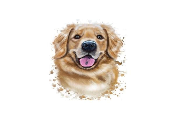 Giờ tốt, màu sắc cát tường và con số may mắn hôm nay 22/5/2024 của 12 con giáp: Tý màu đen, Sửu màu vàng-11