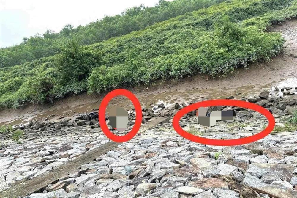 Phát hiện 2 nam thanh niên tử vong dưới chân đê ở Hà Tĩnh-1