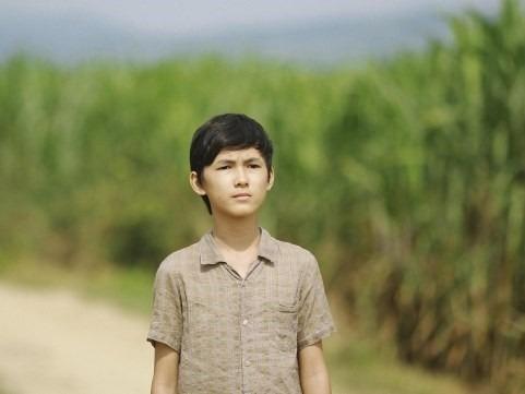 Bất ngờ với sao nhí Tôi Thấy Hoa Vàng Trên Cỏ Xanh thoát kén ngoạn mục-2