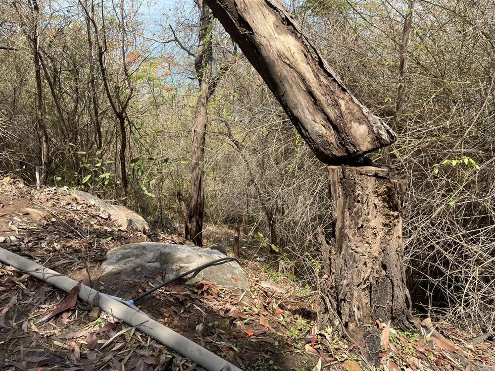 Phát hiện vali chứa thi thể cô gái trẻ nghi bị sát hại trên núi ở Vũng Tàu-1