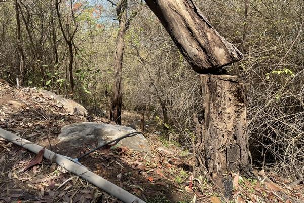 Lời khai nghi can sát hại, giấu xác cô gái trong vali ở Vũng Tàu-4