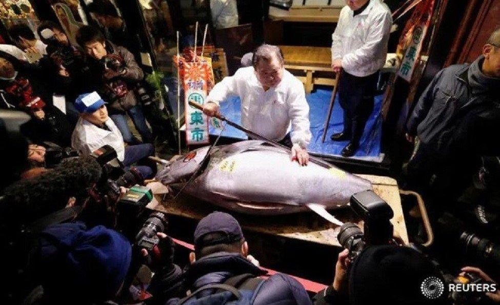 Con cá giá 7,1 tỷ đồng, vẫn có đại gia quyết xuống tiền mua-1