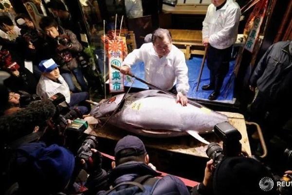 Khách săn lùng mít tí hon quả bằng nắm tay, có vị chua độc lạ-3