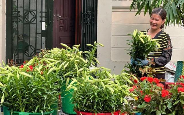 Tháng 4, tháng 5 hoa loa kèn nở rộ và bất ngờ ý nghĩa phong thủy của hoa loa kèn-1