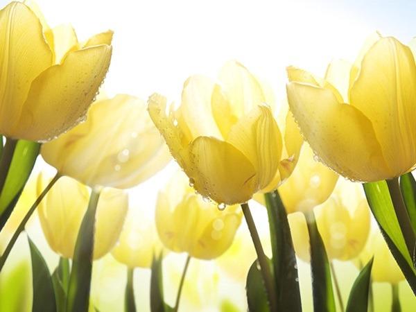 Cầu tiền có tiền, 8 ngày cuối tháng 4 âm lịch, 3 con giáp bạc vàng đầy rổ, có số gánh tiền TỶ về nhà-1