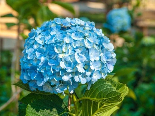 Cầu tiền có tiền, 8 ngày cuối tháng 4 âm lịch, 3 con giáp bạc vàng đầy rổ, có số gánh tiền TỶ về nhà-2