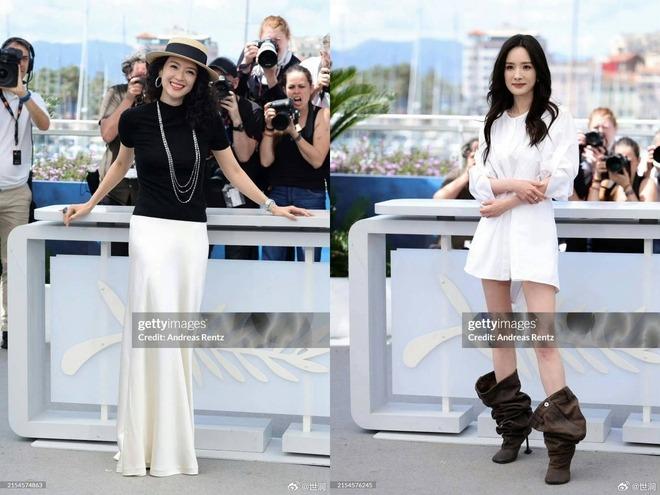 Dương Mịch chỉ khôn vặt chứ không có trí tuệ-7