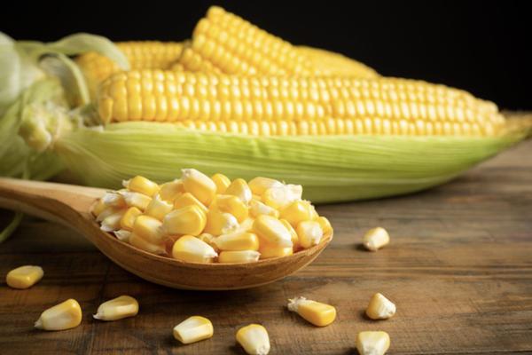 Giảm 45 kg nhờ quy tắc ăn 211 và gợi ý 4 đĩa ăn mẫu dễ áp dụng-10