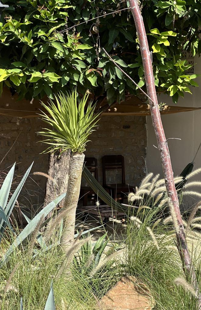 Căn nhà siêu độc lạ của cặp nghệ sĩ vừa bị VTV cắt sóng do xung đột, khóc lóc trên livestream-13