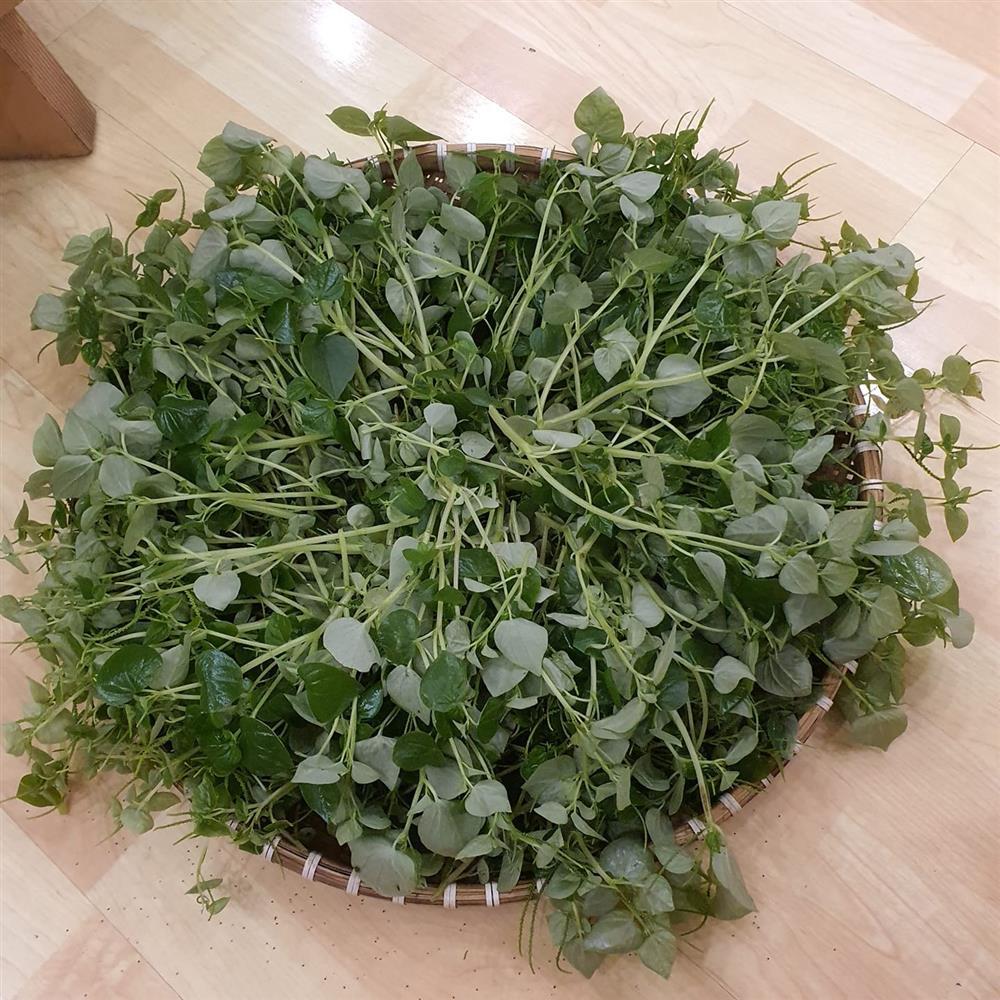 Cẩm Ly tiết lộ điều kỳ lạ trong biệt thự: Lạ lùng lắm, tôi không thể hiểu-17