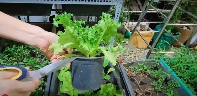 Cẩm Ly tiết lộ điều kỳ lạ trong biệt thự: Lạ lùng lắm, tôi không thể hiểu-19