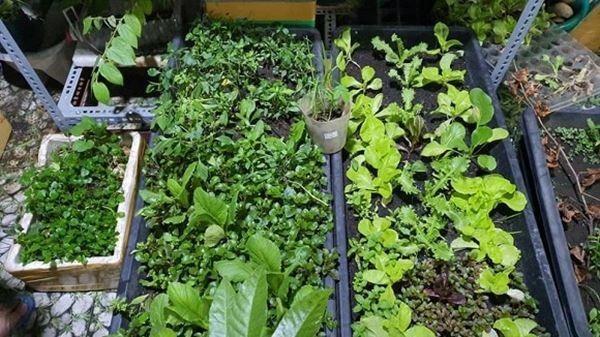 Cẩm Ly tiết lộ điều kỳ lạ trong biệt thự: Lạ lùng lắm, tôi không thể hiểu-20