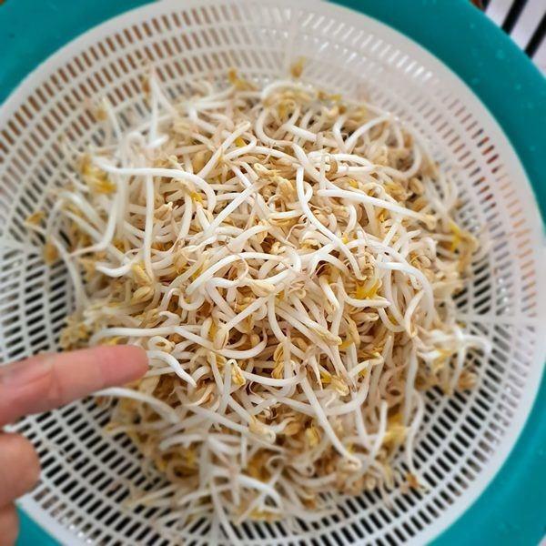 Cẩm Ly tiết lộ điều kỳ lạ trong biệt thự: Lạ lùng lắm, tôi không thể hiểu-21