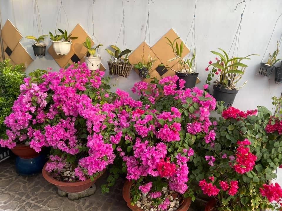 Cẩm Ly tiết lộ điều kỳ lạ trong biệt thự: Lạ lùng lắm, tôi không thể hiểu-23