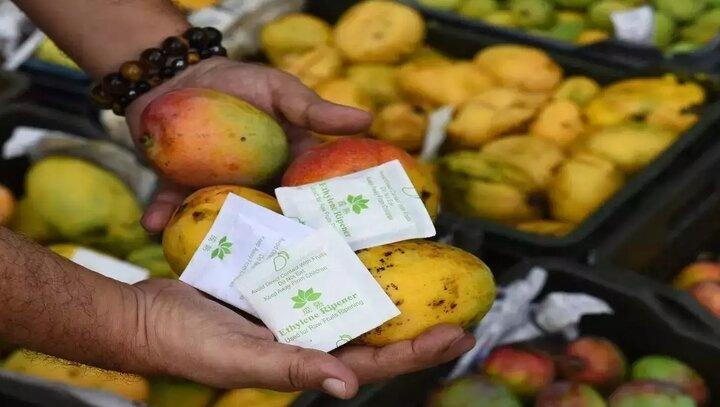 Mẹo nhận biết xoài chín bằng hóa chất hay chín tự nhiên-2