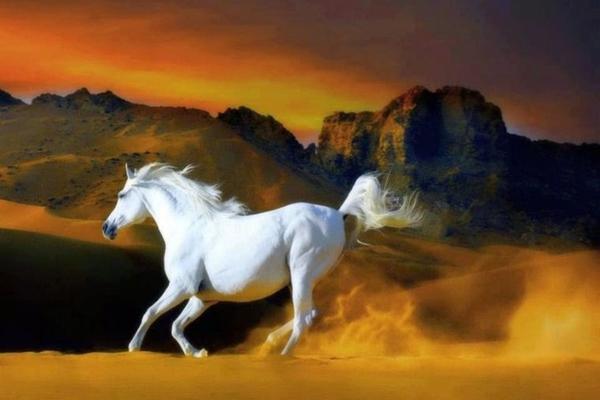 Giờ tốt, màu sắc cát tường và con số may mắn hôm nay của 12 con giáp: Hợi màu đen, Tuất màu vàng-7