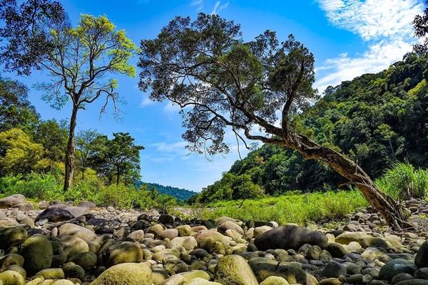 Một thế giới đẹp đến khó tin nằm ẩn mình trong dãy Trường Sơn-3