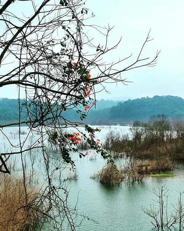 Một thế giới đẹp đến khó tin nằm ẩn mình trong dãy Trường Sơn-4