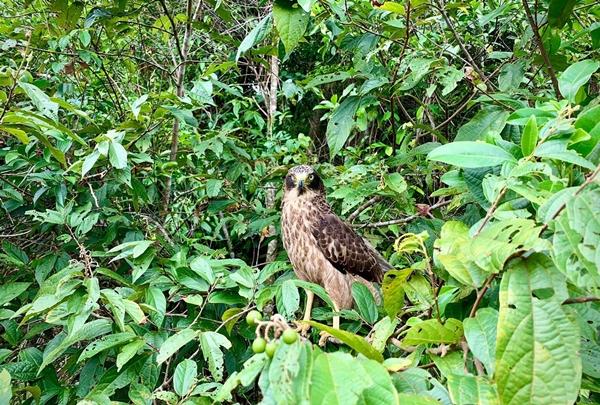 Một thế giới đẹp đến khó tin nằm ẩn mình trong dãy Trường Sơn-7