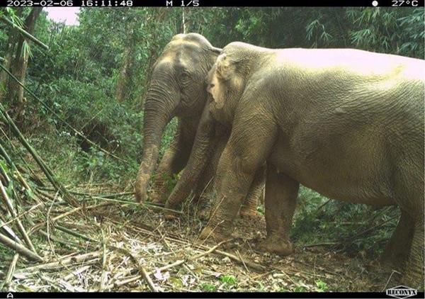 Một thế giới đẹp đến khó tin nằm ẩn mình trong dãy Trường Sơn-9