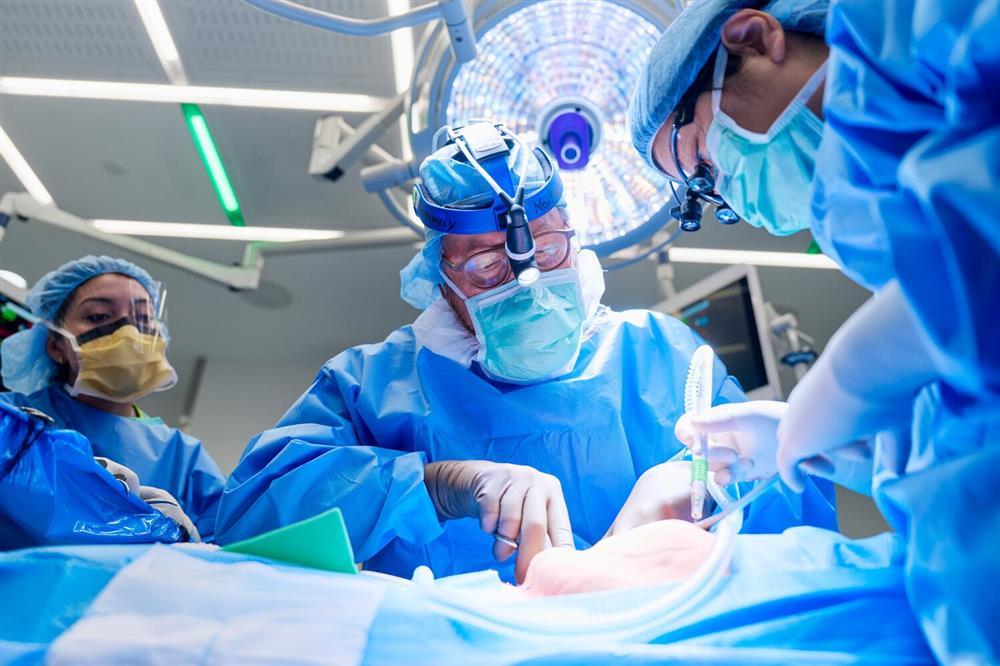 Bước ngoặt buồn của người phụ nữ đầu tiên được ghép thận lợn-1