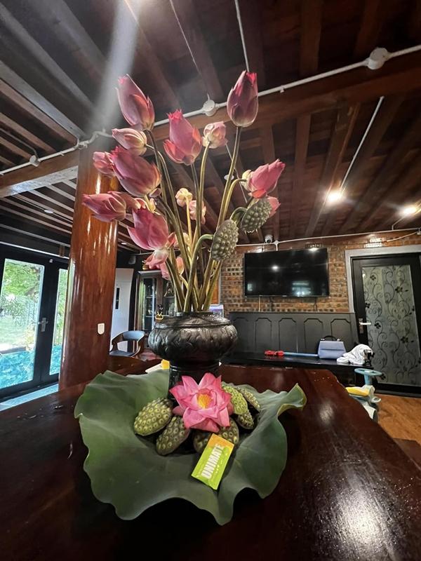 Khám phá biệt phủ ở ngoại ô của gia đình NSND Xuân Bắc-6