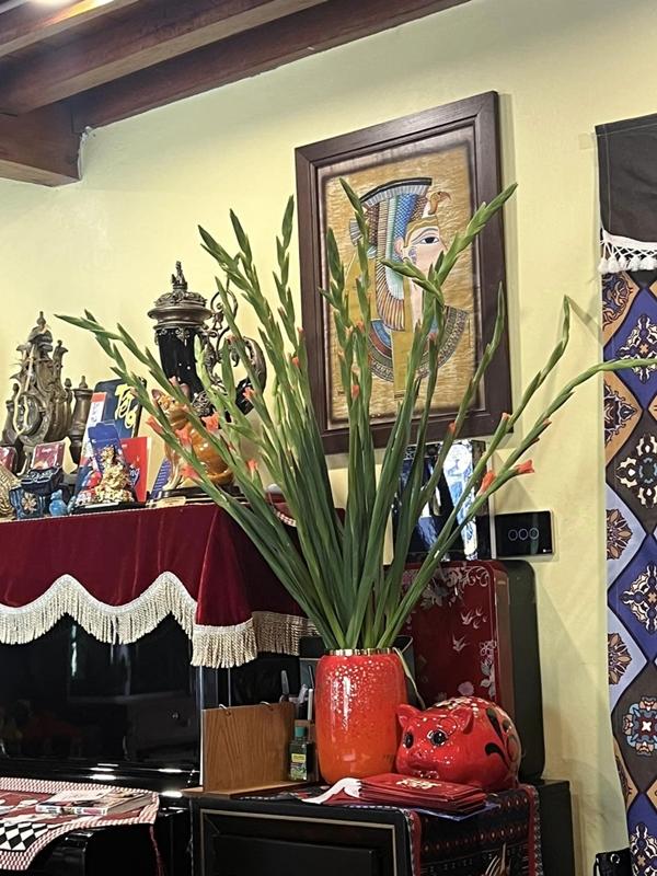 Khám phá biệt phủ ở ngoại ô của gia đình NSND Xuân Bắc-8