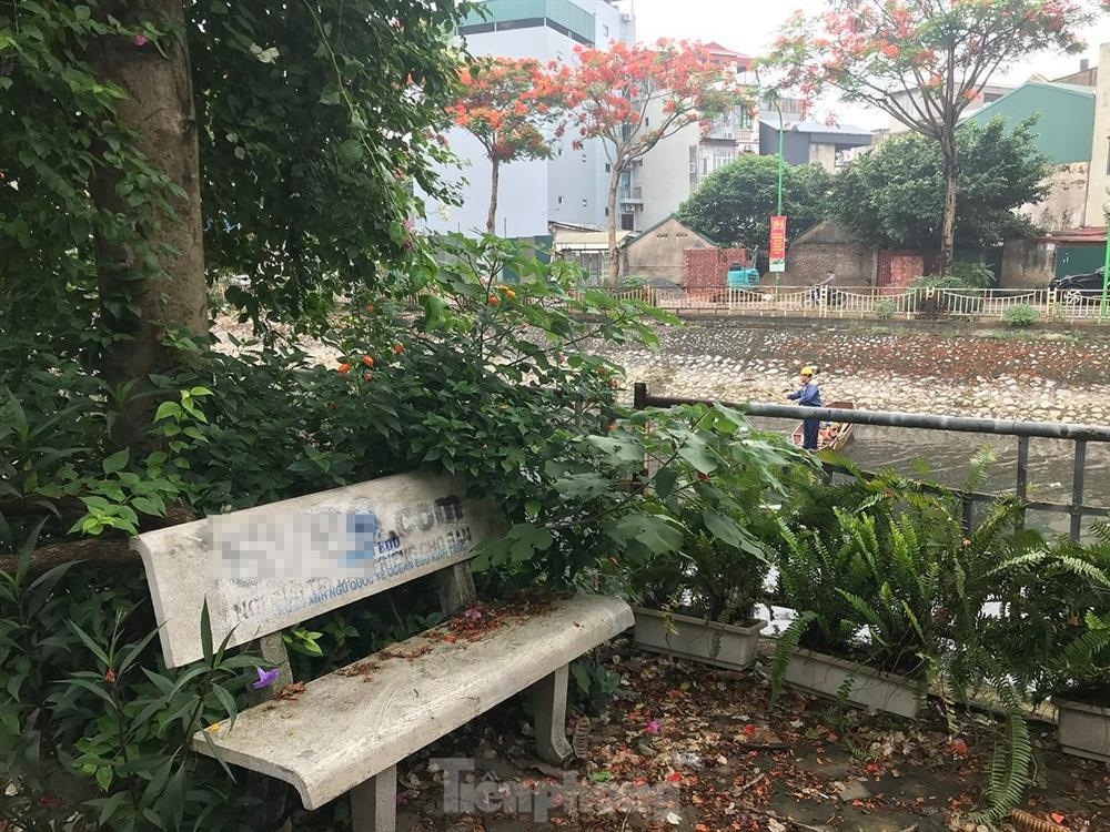 Loạt ghế đá ven sông ở Hà Nội bị sơn tên web cờ bạc-4