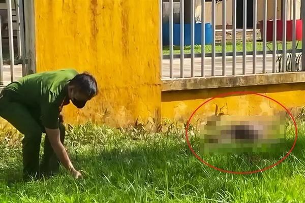 Phát hiện thi thể phụ nữ nước ngoài trong căn hộ chung cư ở TPHCM-1