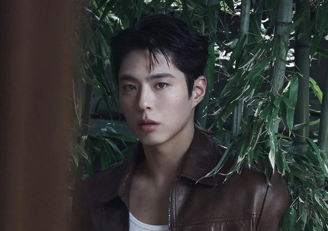 Park Bo Gum chính thức lên tiếng về tin hẹn hò Suzy-1