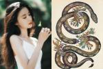 8h sáng thứ Năm 6/6/2024, 3 con giáp lấy rổ hứng lộc, tiền của chất cao như núi-2