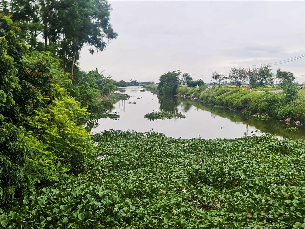 Vụ 1 nhà 3 người tử vong ở Thái Bình: Con gái thường xuyên mâu thuẫn với bố mẹ-1