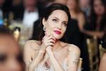 Angelina Jolie chống lại Brad Pitt-3