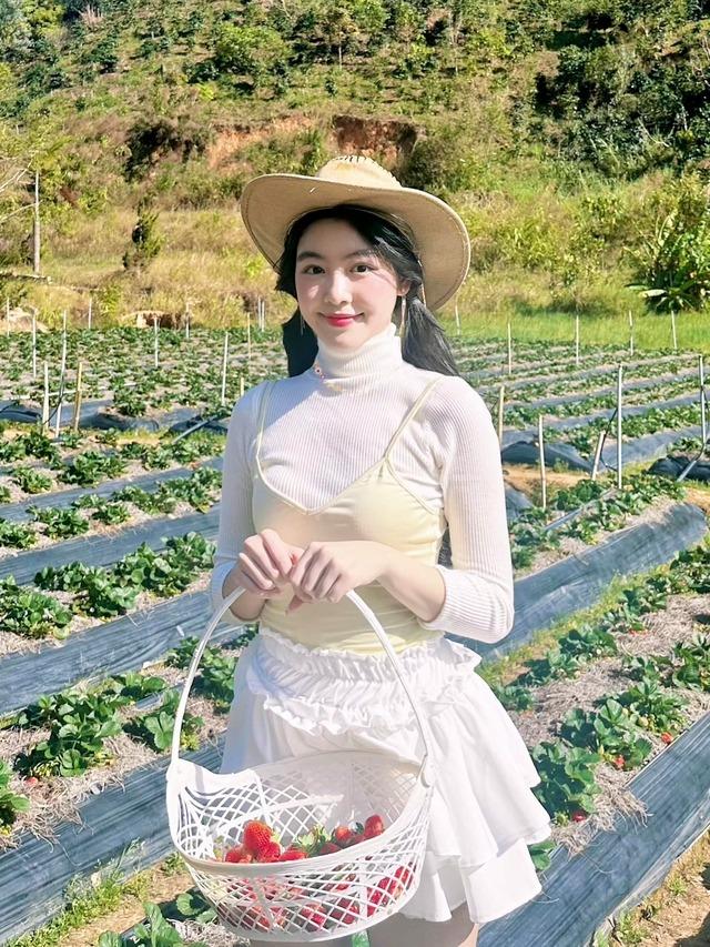 Những người kế thừa của sao Việt-1