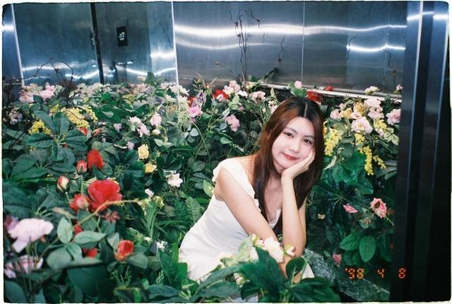 Những người kế thừa của sao Việt-4