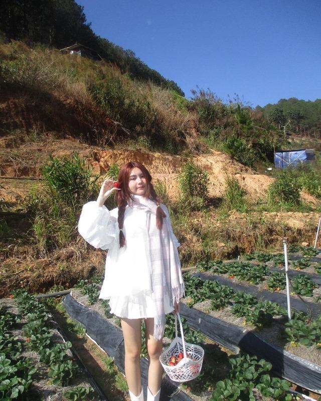 Những người kế thừa của sao Việt-6