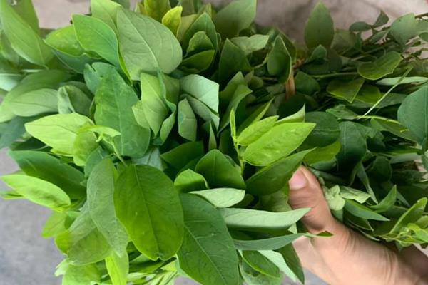 Loại rau chỉ vài nghìn đồng nhưng lượng vitamin C cao hơn cam, chanh-1