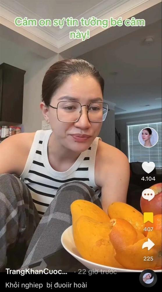 Trang Trần định cư ở Mỹ: Anti-fan dồn tôi vào đường cùng rồi-1