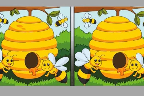 Vịt hay thỏ? Con vật bạn nhìn thấy đầu tiên sẽ tiết lộ bạn có phải là người hào phóng không?-2