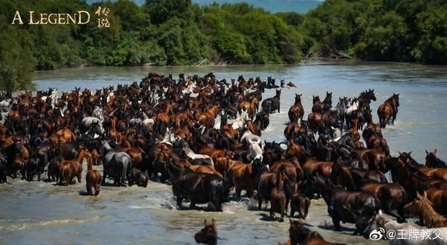 Thành Long ngã xuống thần đàn-6