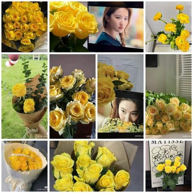 Lưu Diệc Phi tạo cơn sốt-3