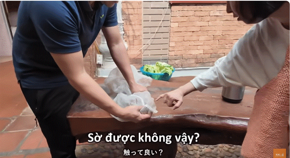 Vợ chồng Nhật tới làng rắn nổi tiếng Hà Nội, lấy hết can đảm thử món rùng mình-3