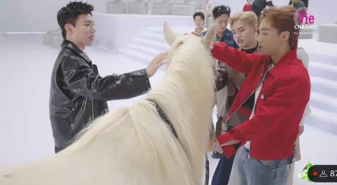 Erik gây chú ý vì làm lố-3