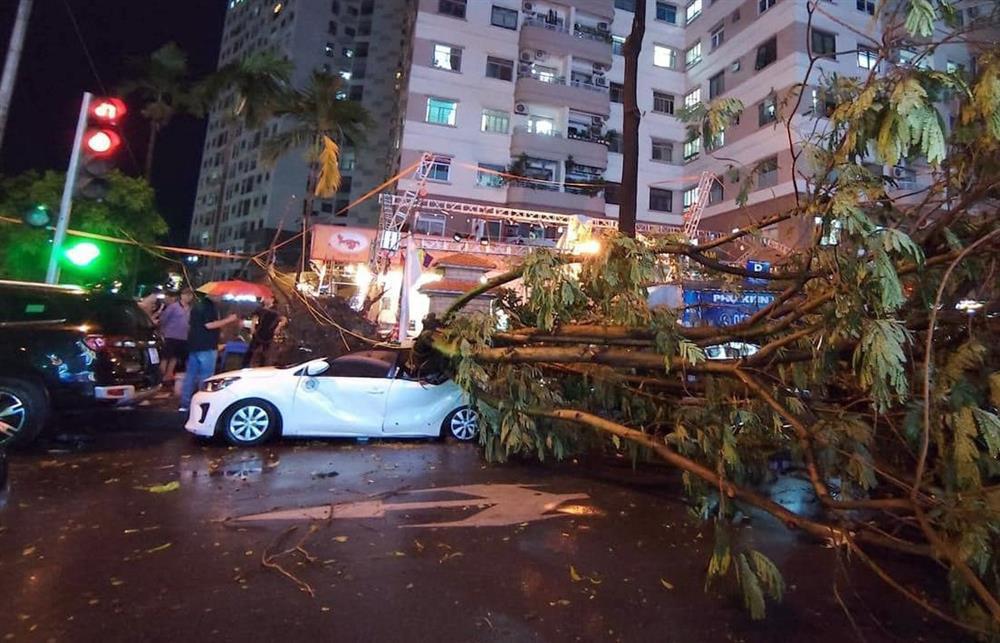 Hà Nội: Mưa giông quật đổ hàng loạt cây xanh đè lên ô tô-4