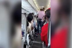 Cả chuyến bay bị hoãn vì hành khách nhí không chịu thắt dây an toàn