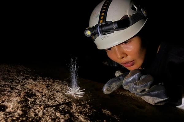 Xuất hiện thủy quái bí ẩn trong hang động ở Phong Nha - Kẻ Bàng-1