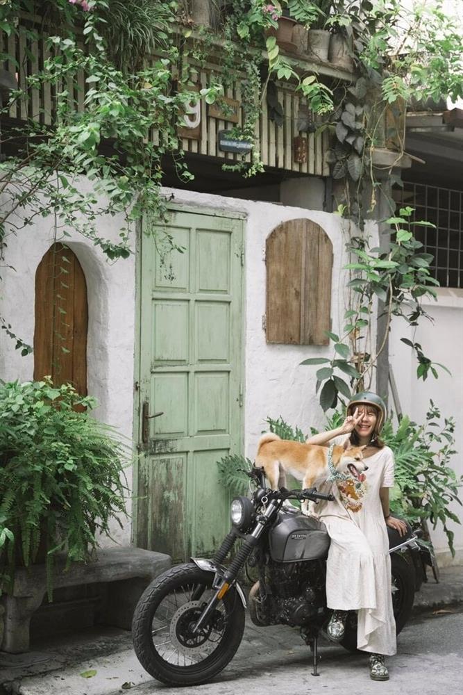 Chú chó thành idol mạng nhờ chinh phục 7 ngọn núi khó trèo ở Việt Nam-12